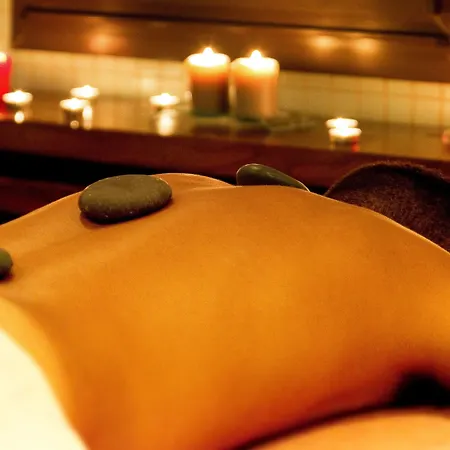 Oca Palacio De La Llorea & فندق