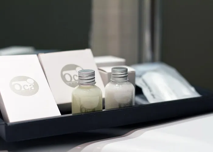 Oca Palacio De La Llorea & 4*